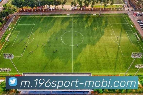 196体育发展历程